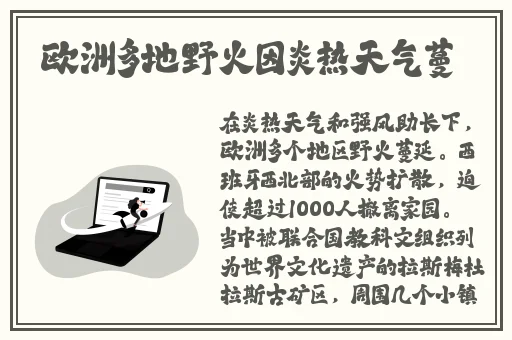 申鹤腿法娴熟